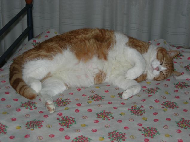 ECCO SPILLO DOLCE DORMIRE...........