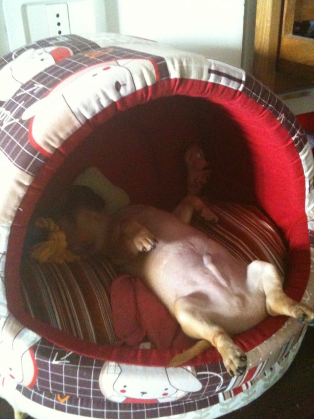 Dormendo a pancia all'aria...