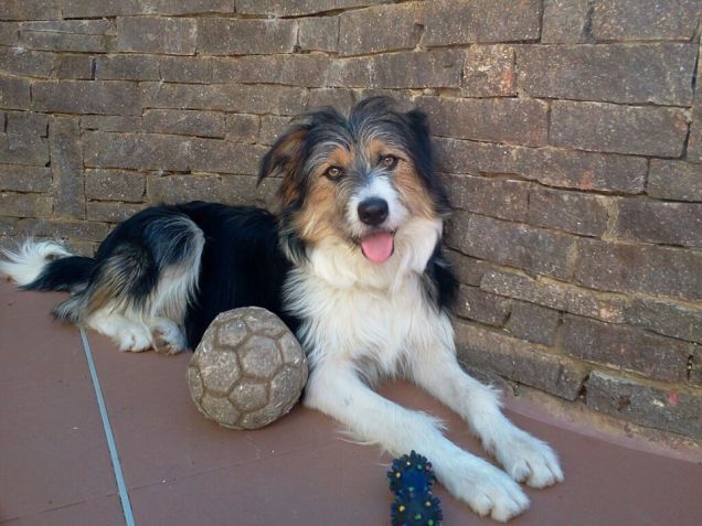 Theo e i suoi giochi preferiti