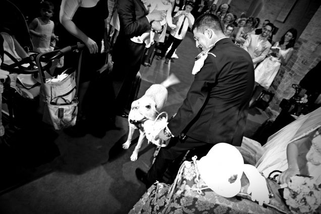 scotty lascia il cestino