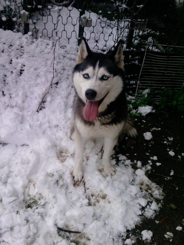 Aury e la sua amata neve!!!