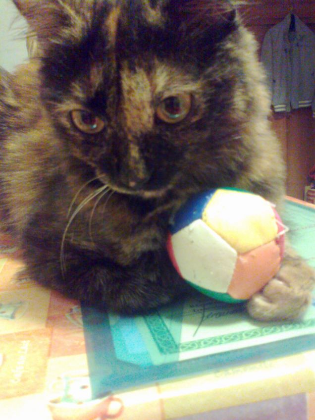 è mia e nn si tocca!