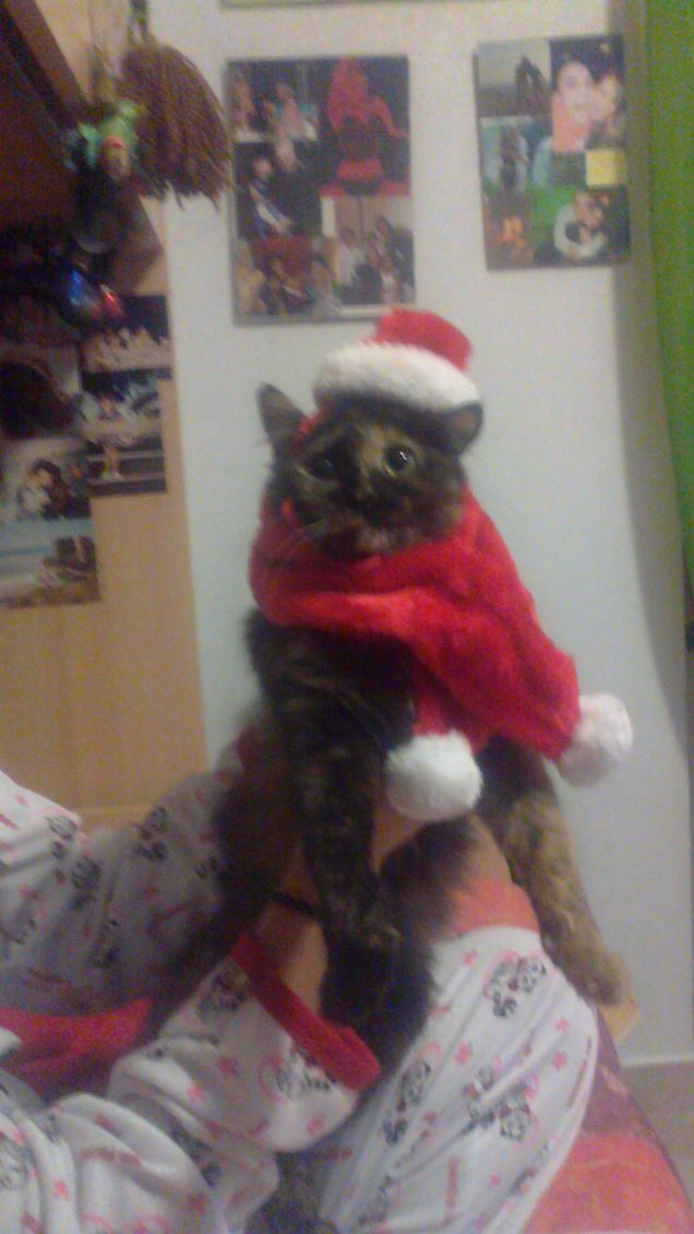 e a natale! che mi tocca fare!