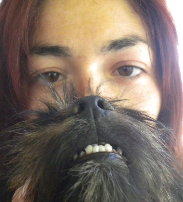 dog beard monster