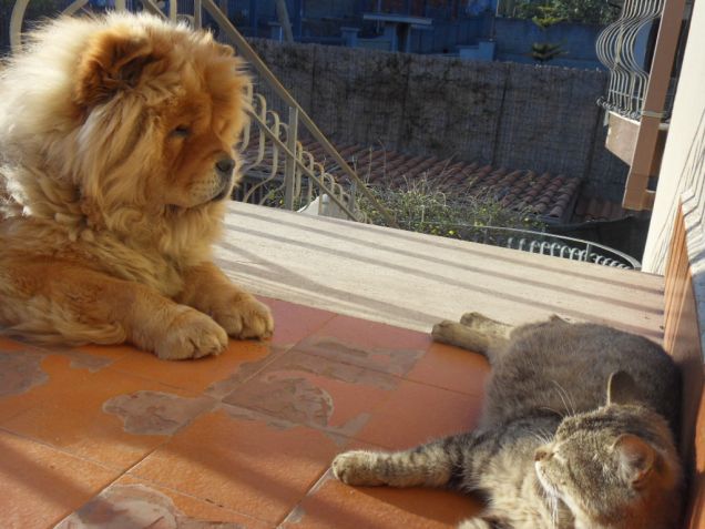 L'amore non ha razza.. 