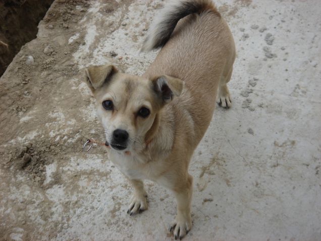 Ayla con la neve!!!!