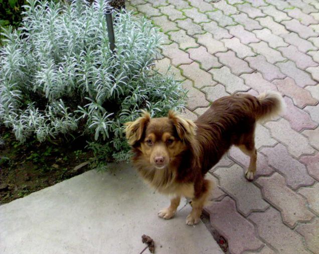 Zoe grande 'uomo'