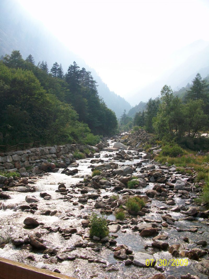 Cerco cucciolo Taglia TOY