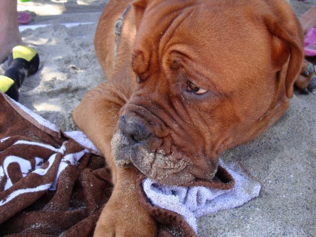 Eragon e la sabbiatura