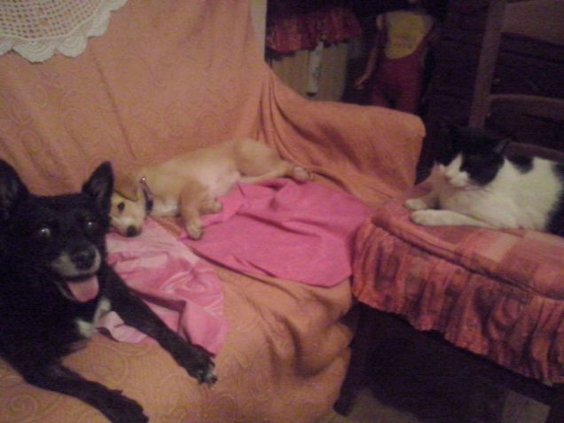 finalmente i 3 fratellini!