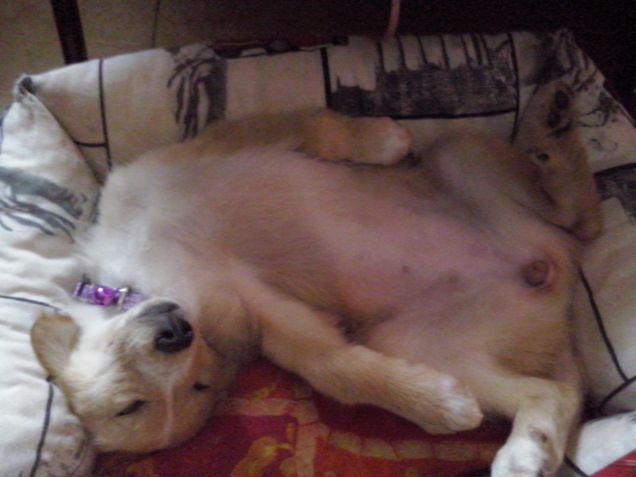 Diana in pieno relax