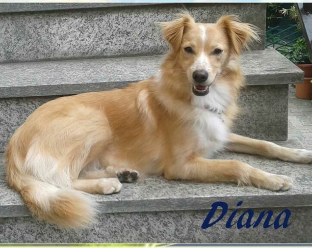 La mia piccola grande Diana
