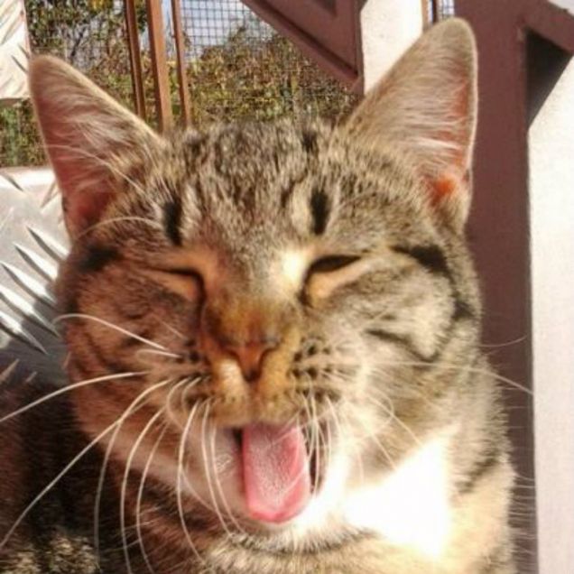 Awww.....che sonno! *sbadiglio*