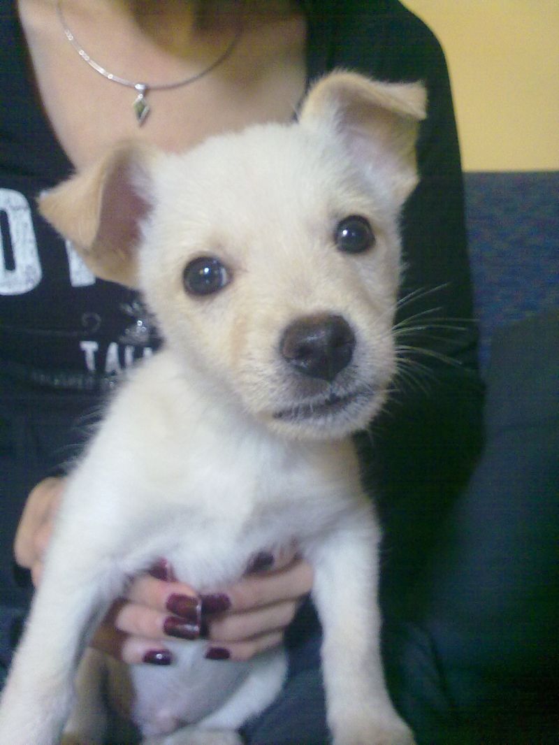 offro....S.O.S verco casa