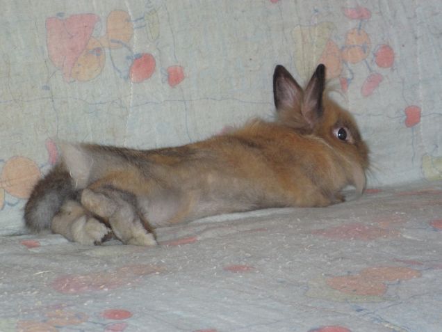 Dolce far niente....