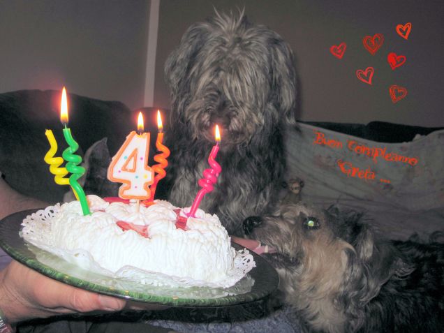 ... gnam gnam, buona questa torta!!!!!!!!!