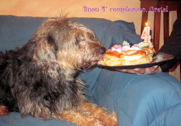 Buon compleanno e Buon Natale