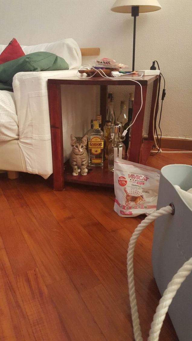 non somo una ubriacona