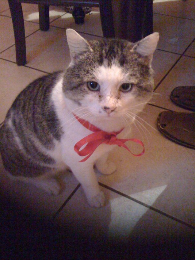 nessuno è come Camillo!!