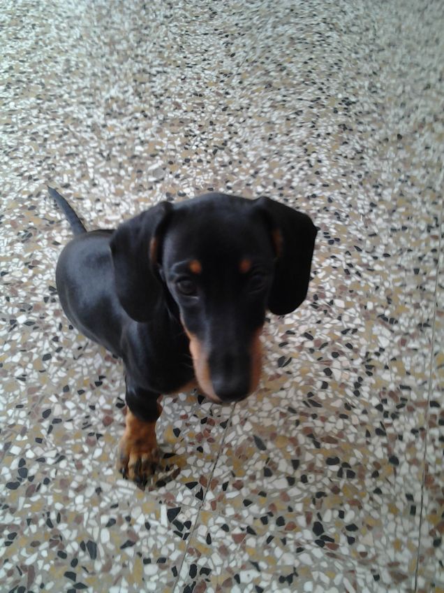 belen