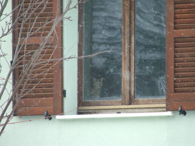 Mmmmh...oggi non esco!