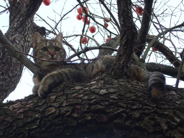 Attenti...vi tengo d'occhio!!