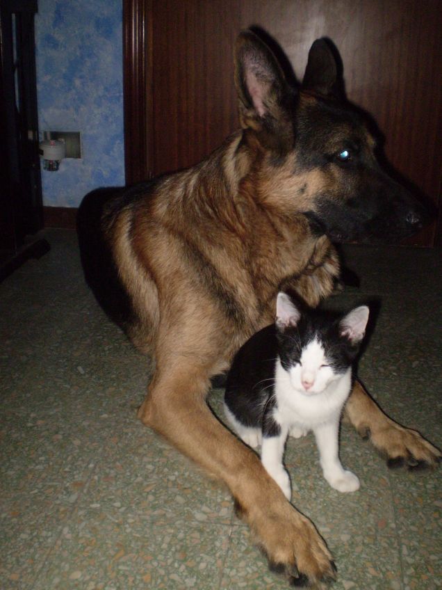 BILLY e FELIX gemelli diversi