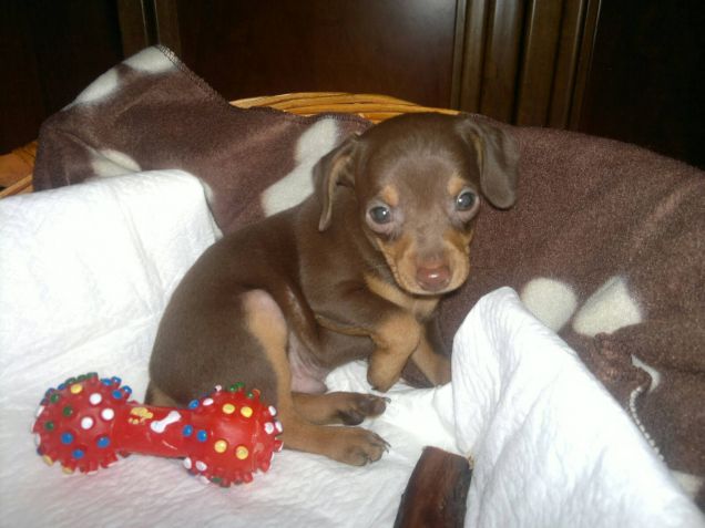 La mia prima fotografia