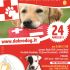 Primo Soccorso al cane