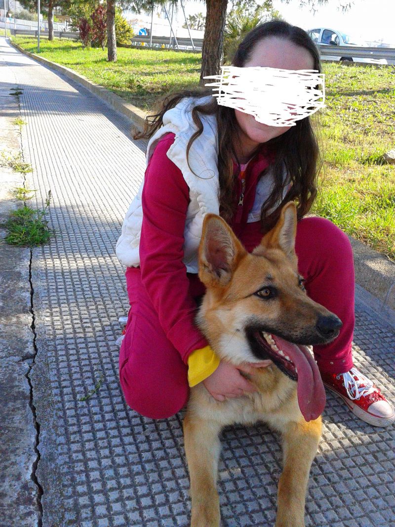 Cane da adottare