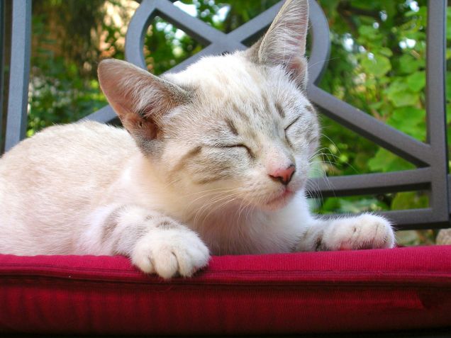 la mia piccola Giorgie