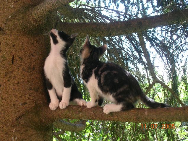 Abel e Artur fratelli si nasce, scalatori si diventa !