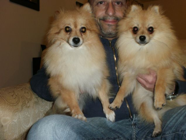 i miei cuccioli kira e  laky