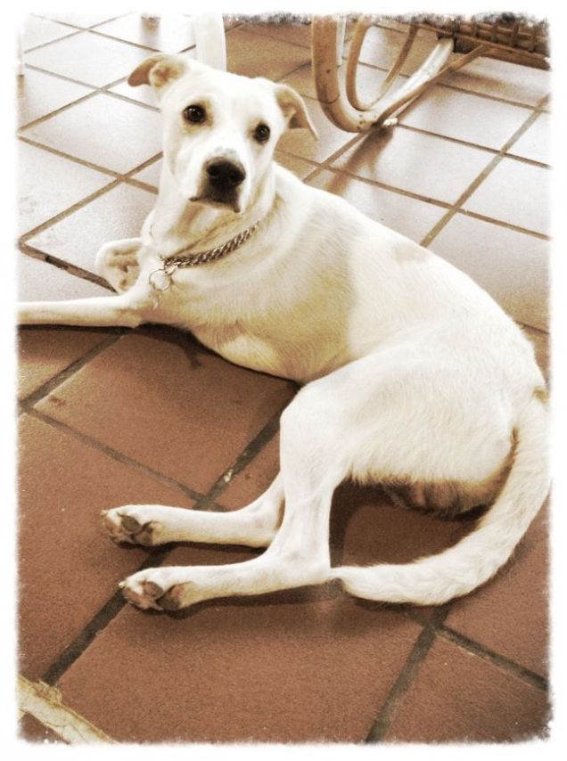 un po di relax in campagna 