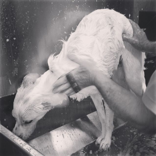 Ulisse alle prese con il bagnetto!!!!