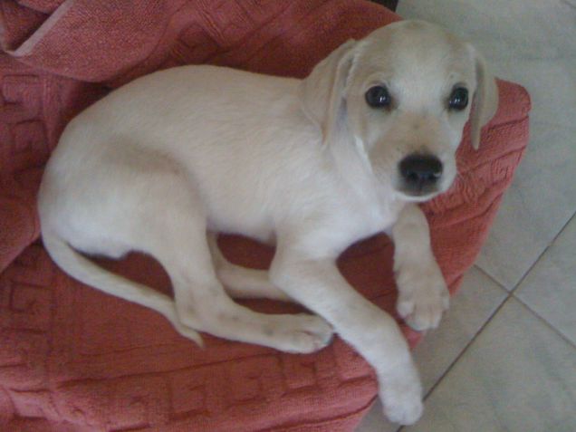 il mio amore da cucciolo!! 