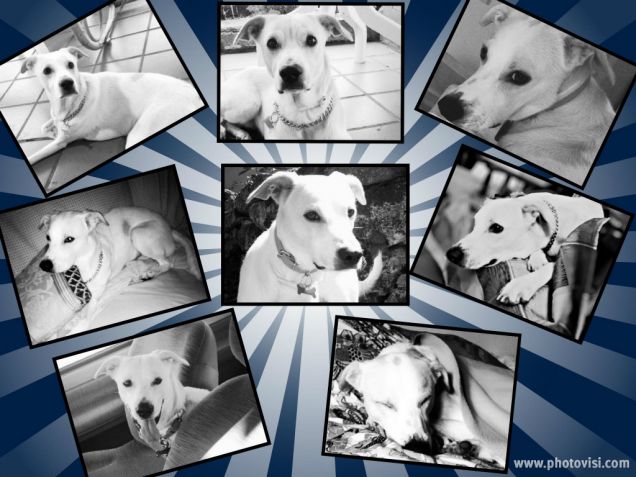 Vari momenti di Ulisse ;)