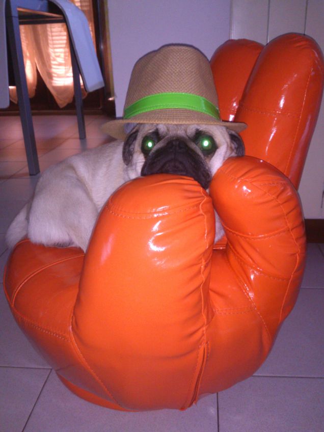 ah la mia poltroncina!!!!!