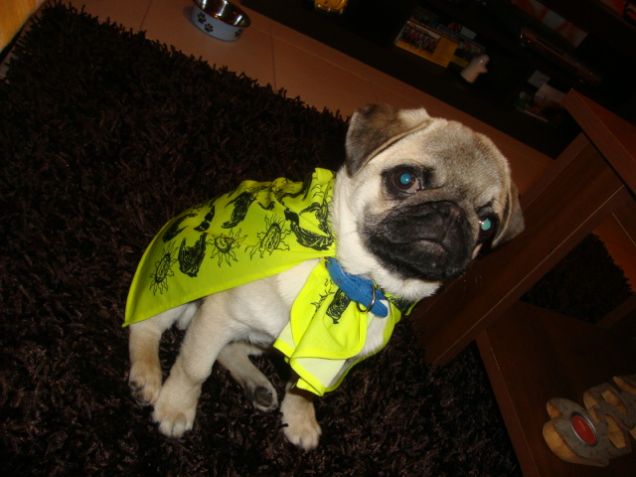 Super Theos Rossi (46)