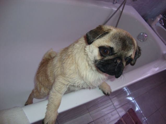 Il mio primo bagnetto....