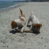 SARDEGNA LUGLIO 2013