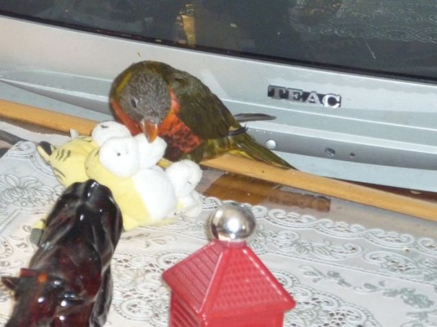 oli che gioco il pupazzo porta chiave