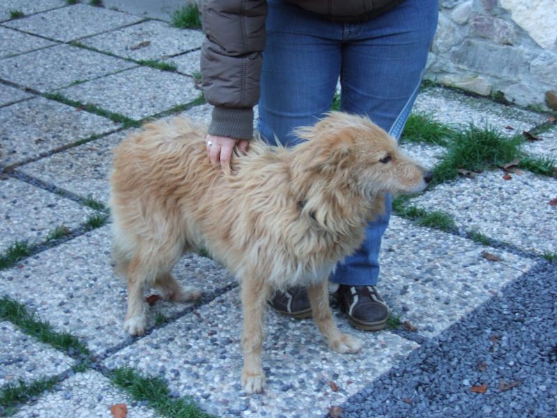 spinoncina in regalo!