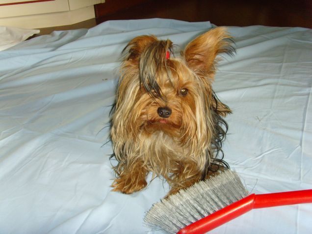 Ecco la mia monella!!