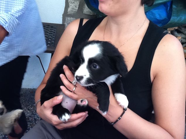 25° giorno di nascita