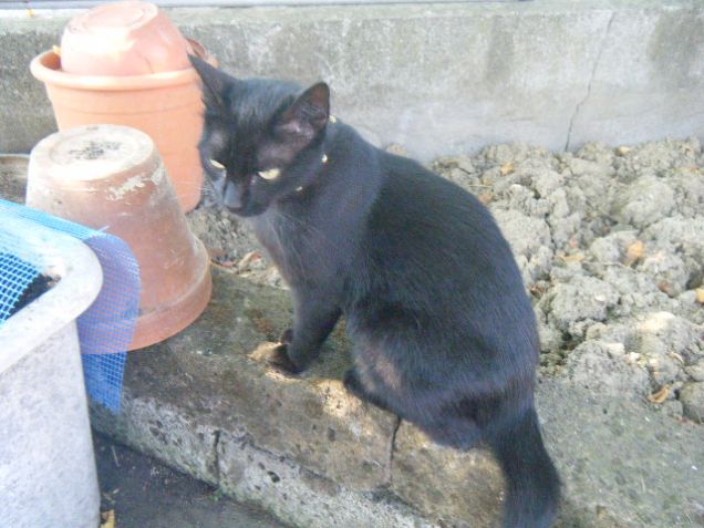 esploriamo il giardino