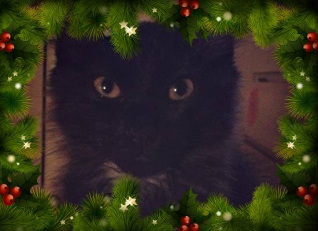 La piccola aiutante di Babbo Natale! (manca solo il naso rosso)