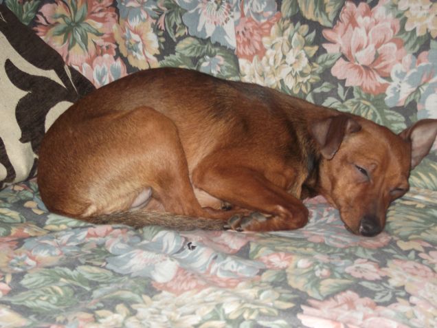 notte lulù