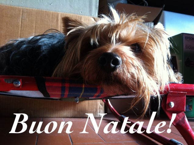 Buon Natale