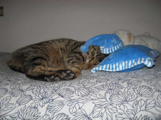 Buonanotte